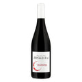 Côtes-du-Rhône Villages 2024 Domaine des Amadieu bouteille de vin rouge gouleyant de la vallée du Rhône