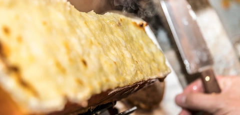 Melted Cheese Fever 🧀