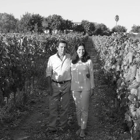 Grillo 2021, Sicilia DOC, Azienda Giasira | L'ESPRIT DU VIN