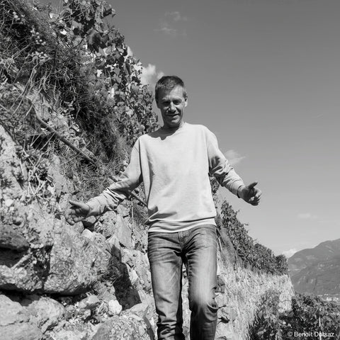 Petite Arvine de Fully Les Perches 2022, Benoît Dorsaz 50 cl | L'ESPRIT DU VIN