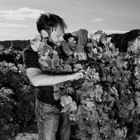 Photos de Fabrice Brunel, le vigneron du Domaine.