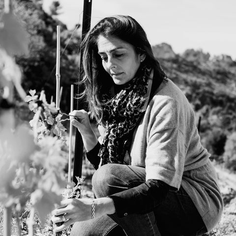 Gigondas rouge 2022, Gigondas AOP, Cécile Chassagne