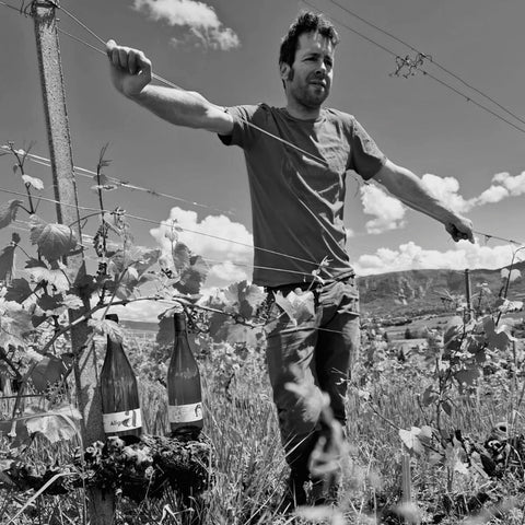 Aligoté 2023, Genève AOC, Damien Mermoud, Lully