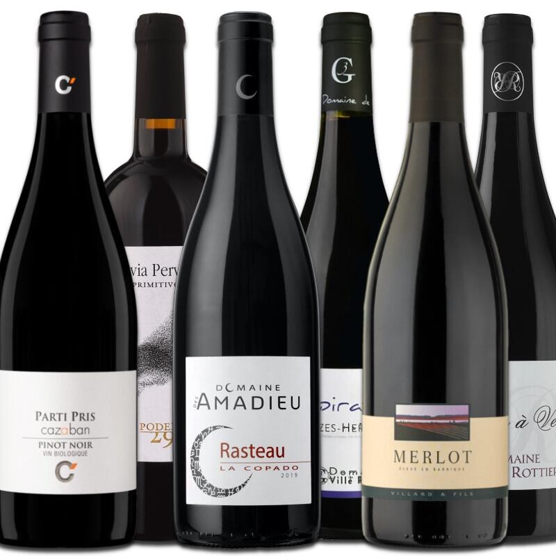 Tasting Box Vins Rouges Bio, 6 bouteilles de Suisse, France et Italie pour accompagner vos mets de saison.